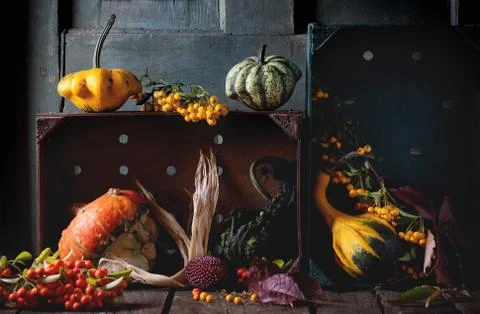 Assortment of different pumpkins and berries Foto stock