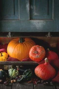Assortment of different pumpkins in suitcase Stock Photos