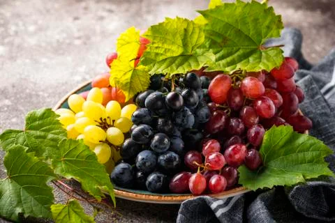 Assortment of different sort of grapes Stock Photos