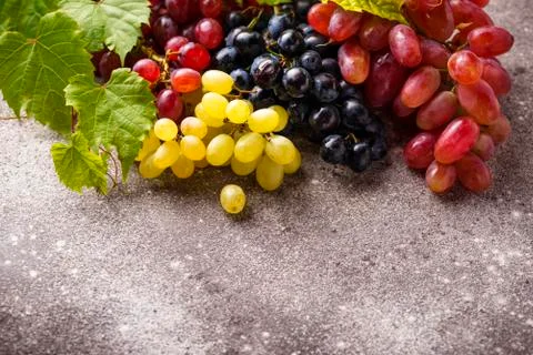 Assortment of different sort of grapes Stock Photos