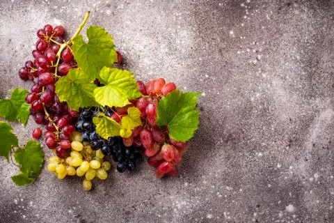Assortment of different sort of grapes Stock Photos