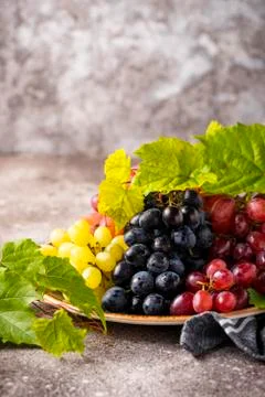 Assortment of different sort of grapes Stock Photos