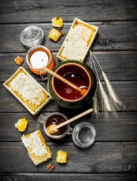 Assortment of different types of honey. Stock Photos