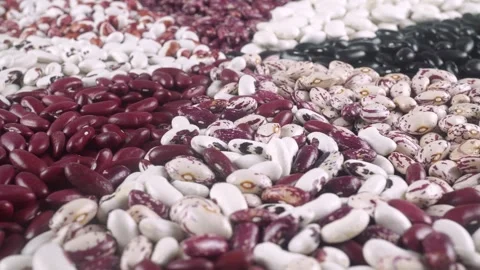 An Assortment Of Dried Beans That Create A Colorful Pattern Of contrasting. Video stock 319761859