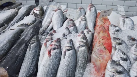 Assortment of fish on display at a UK fishmonger Video stock 127628334