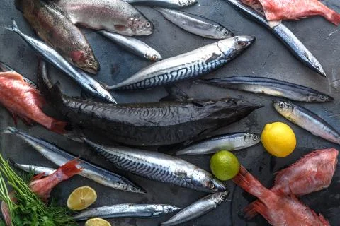 Assortment of fresh fish on dark background, top view Stock Photos