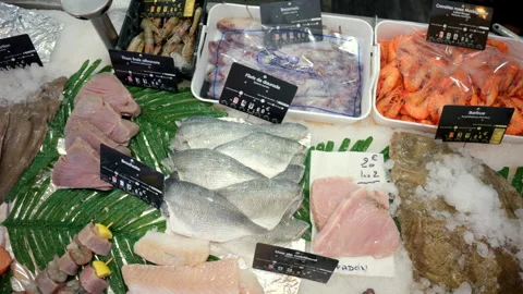 Assortment of fresh fish, shrimp, squid, and tuna steaks visible on ice with Stock Footage 343160701