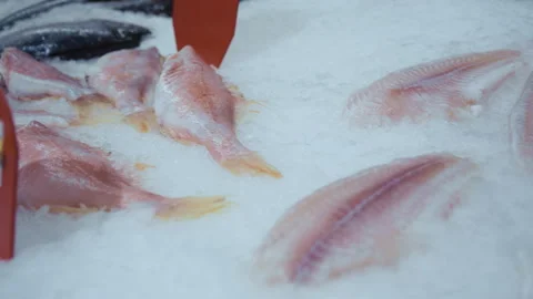 Assortment of Fresh Raw Fish Displayed on Ice Vídeos de archivo 343870690