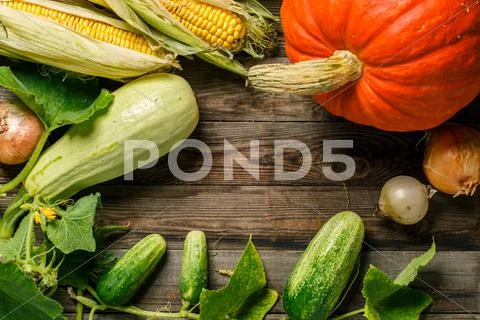 Assortment of fresh vegetables Stock Photos