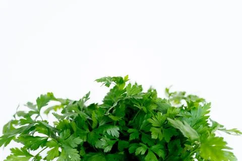 Assortment of fresh vegetables Stock Photos