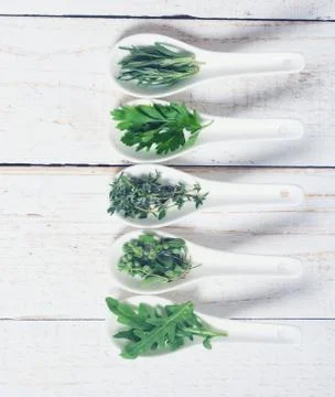 Assortment of  herbs in ceramic spoon Stock Photos
