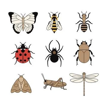 Assortment of insects Stock Illustration