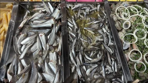 Assortment of marinated small fish and caviar in stainless steel trays. 스톡 동영상 325656664