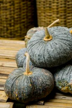 Assortment of pumpkins Foto stock