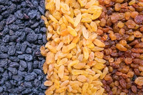 Assortment of raisins background, texture Stock Photos