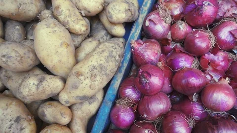 Assortment of raw potatoes and red onions Stock Footage 111693130
