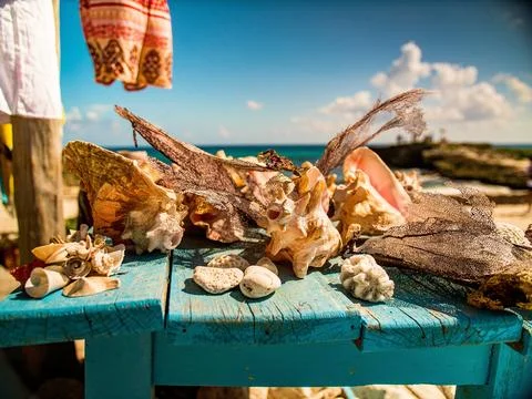 Assortment of seashells and beach items Stock Photos