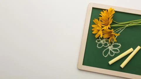 The assortment teacher day elements Stock Photos