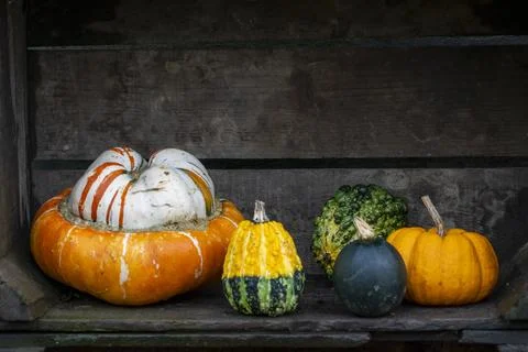 An Assortment of various Gourds Stock Photos