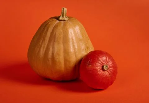 Assortment various size pumpkins, small big, isolated bright orange background Stock Photos