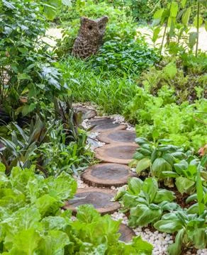Assortment vegetable garden Stock Photos