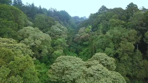 Asstro Highlands Ciater Stock-Footage 242021956