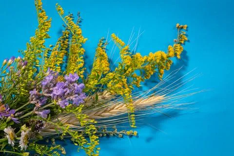 Assumption Stock Photos