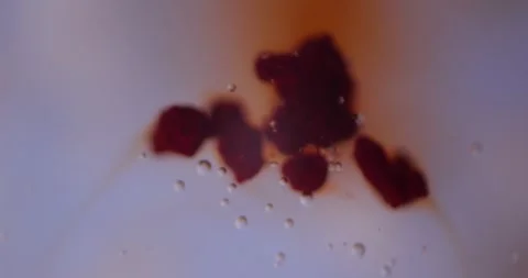 Astaxanthin Dissolving In Water Under Microscope, Strongest Antioxidant Stock Footage 322596967