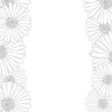 Aster, Daisy Flower Outline Border Illustrazione stock