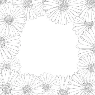 Aster, Daisy Flower Outline Border2 Stock Illustration