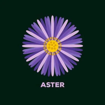 Aster flower logo vector Stock Illustration