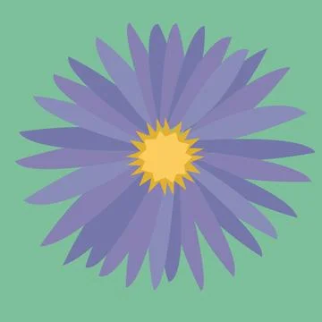 Aster flower vector art illustrator Stock Illustration