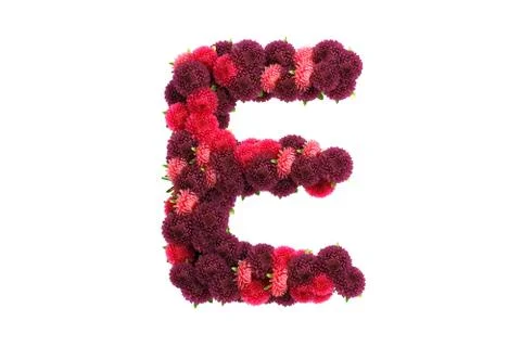 Aster flowers letter E, isolated on white Stock Illustration