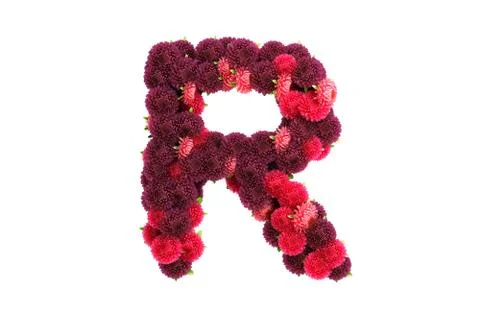 Aster flowers letter R, isolated on white Stock Illustration