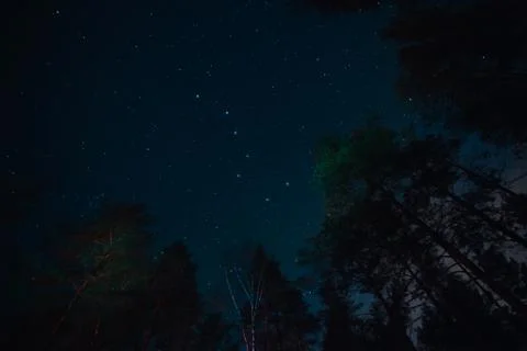 Asterism Big Eovsh in the constellation Ursa Major on dark sky at the forest  Stock Photos