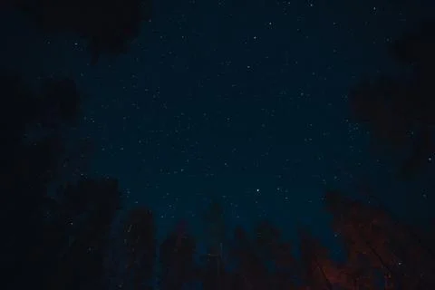 Asterism Big Eovsh in the constellation Ursa Major on dark sky at the forest  Stock Photos