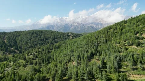 Astonishing of Nature Stock Footage 274534008