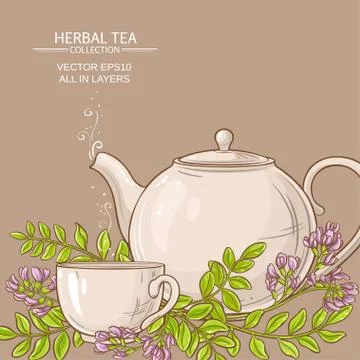 Astragalus tea illustration Stock Illustration