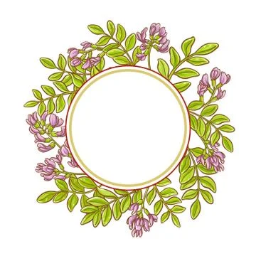 Astragalus vector frame Stock Illustration