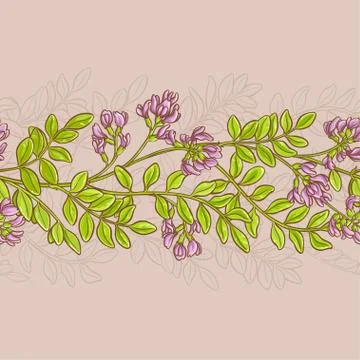 Astragalus vector pattern Stock Illustration