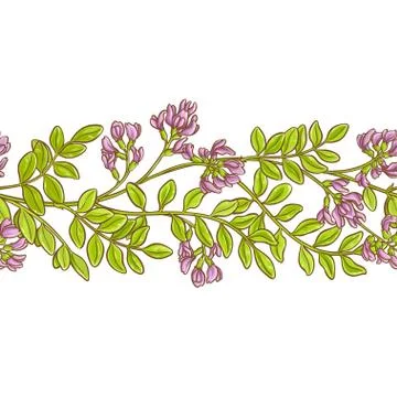 Astragalus vector pattern Stock Illustration