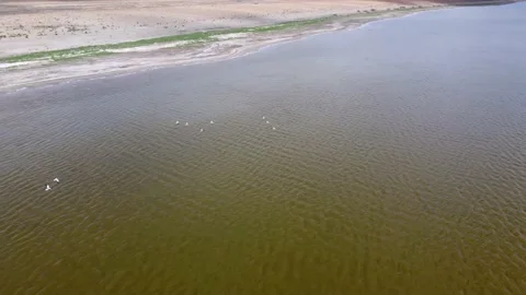 Astrahan area drying up lake 2 Stock Footage 161035912