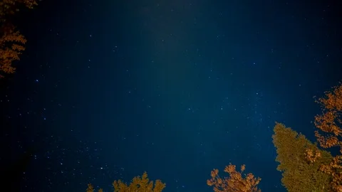 Astral time-lapse of the night sky during a camp in the woods Stock Footage 96475813