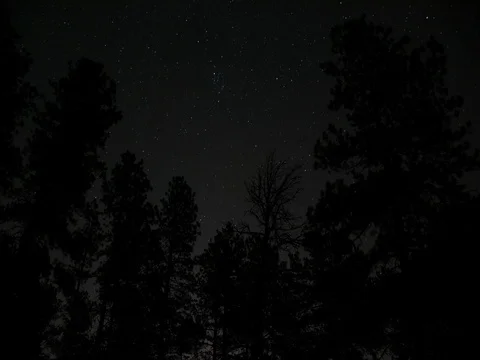 Astro Star Timelapse Through The Trees Stock Footage