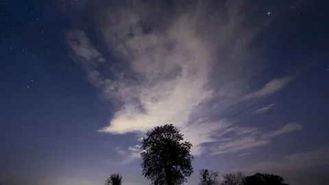 Astro Time Lapse with clouds over solo tree Video stock 167853604