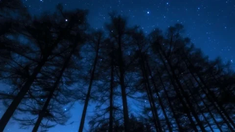 Astro Timelapse in Japan Stock Footage