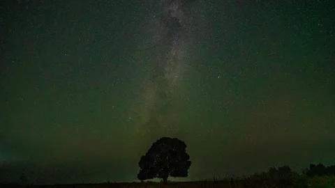 Astro timelapse of an pine tree silhouetted against the night sky with the Milky Stock Footage 218397463