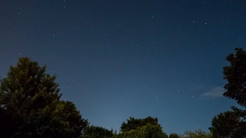 Astro Timelapse with trees Stock Footage 104304639