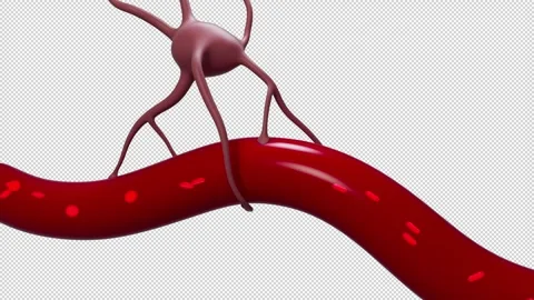 Astrocite 스톡 동영상 263879585