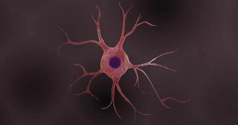 Astrocyte in 3D illustration Illustrazione stock